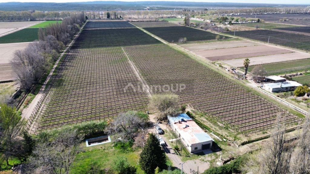 Finca en Venta en Lujan de Cuyo, Mendoza