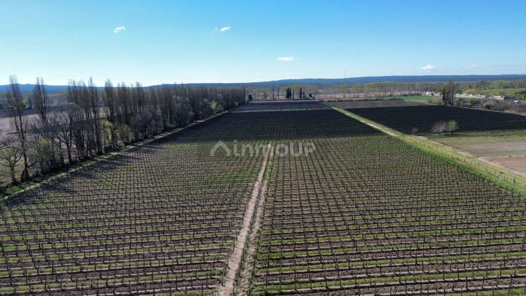 Finca en Venta en Lujan de Cuyo, Mendoza