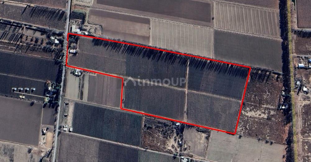 Finca en Venta en Lujan de Cuyo, Mendoza