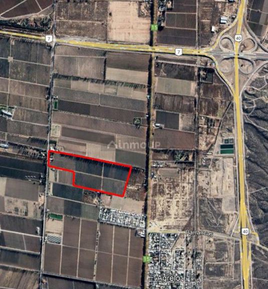 Finca en Venta en Lujan de Cuyo, Mendoza