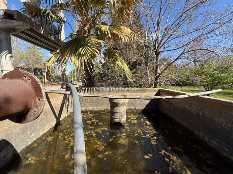 Finca en Venta en Lujan de Cuyo, Mendoza
