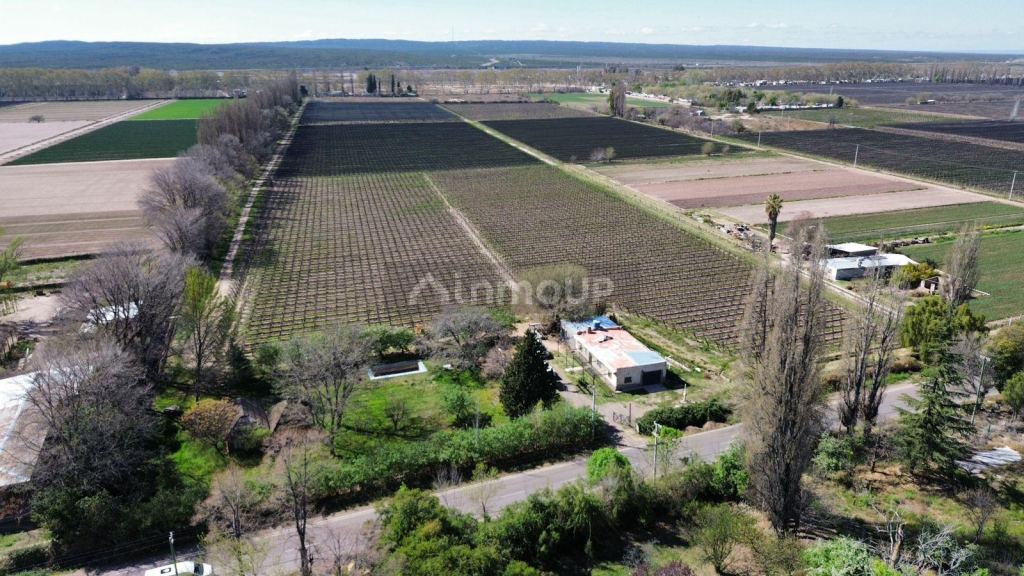Finca en Venta en Lujan de Cuyo, Mendoza