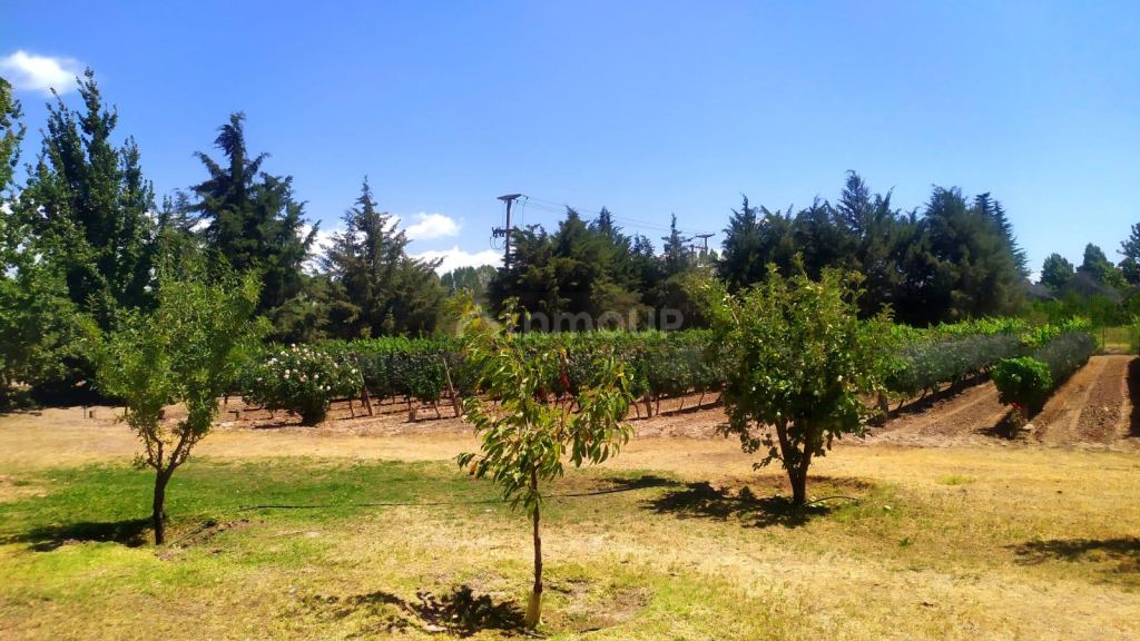 Finca en Venta en Tunuyan, Mendoza