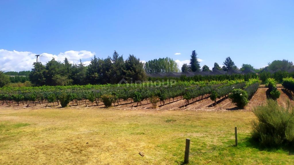 Finca en Venta en Tunuyan, Mendoza