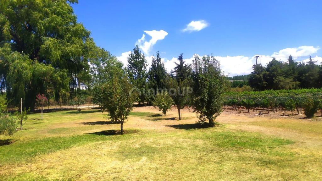 Finca en Venta en Tunuyan, Mendoza