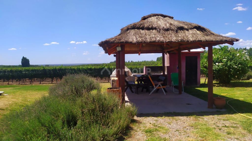Finca en Venta en Tunuyan, Mendoza
