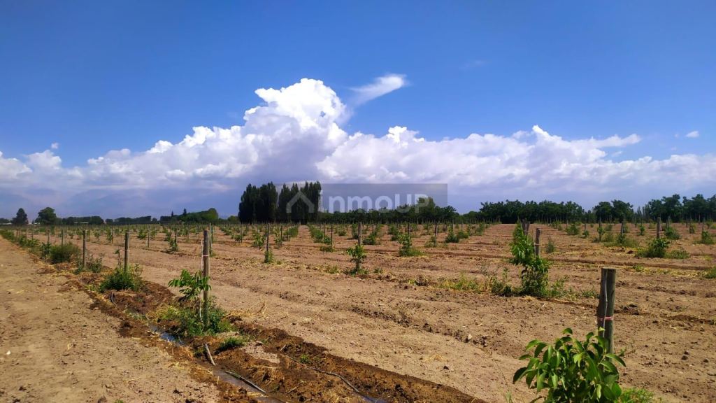 Finca en Venta en Tunuyan, Mendoza
