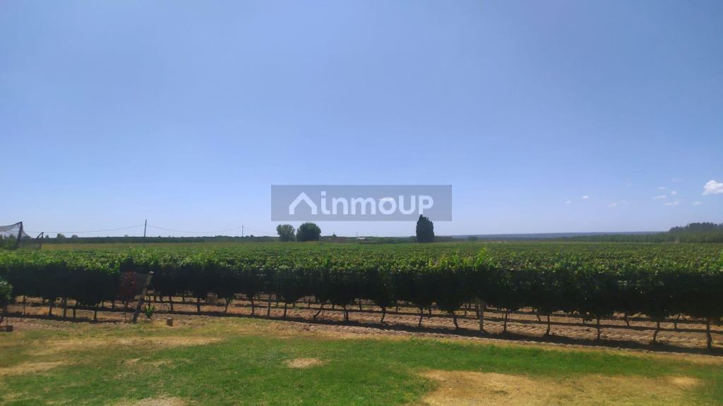 Finca en Venta en Tunuyan, Mendoza