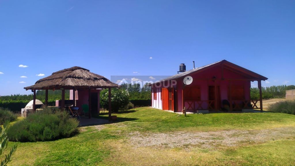 Finca en Venta en Tunuyan, Mendoza