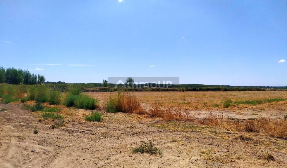 Finca en Venta en Tunuyan, Mendoza