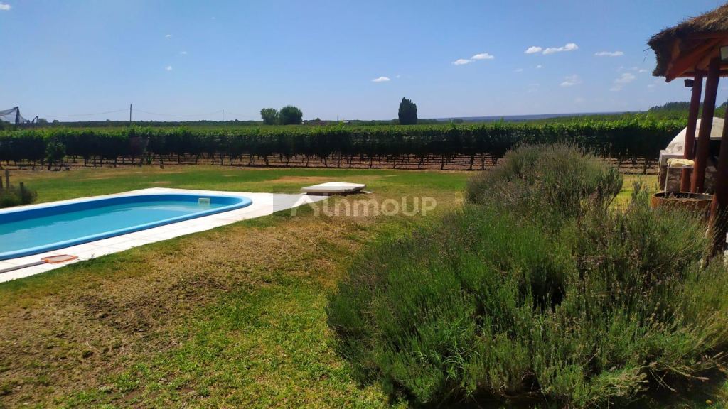 Finca en Venta en Tunuyan, Mendoza