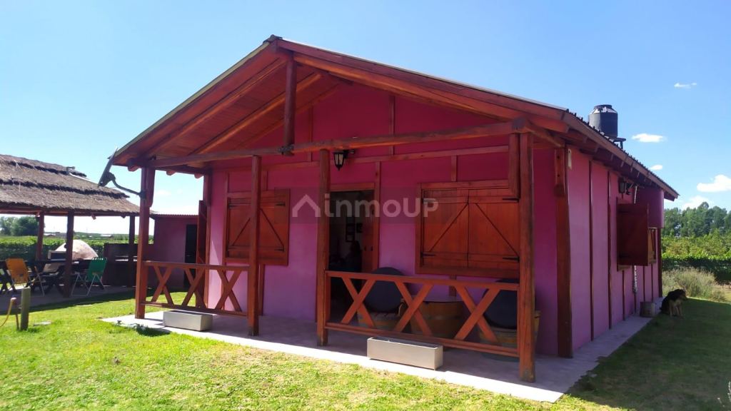 Finca en Venta en Tunuyan, Mendoza