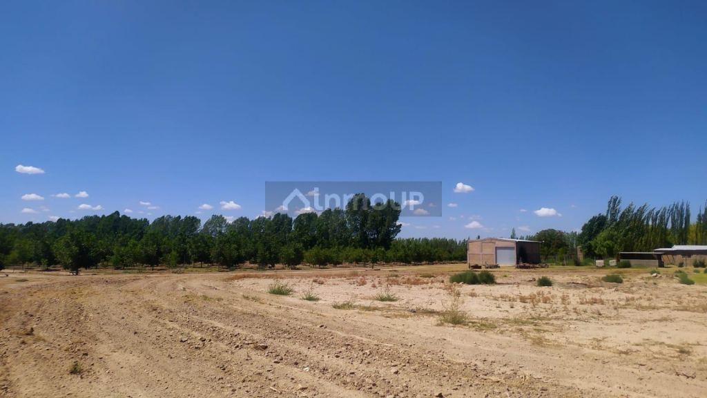 Finca en Venta en Tunuyan, Mendoza