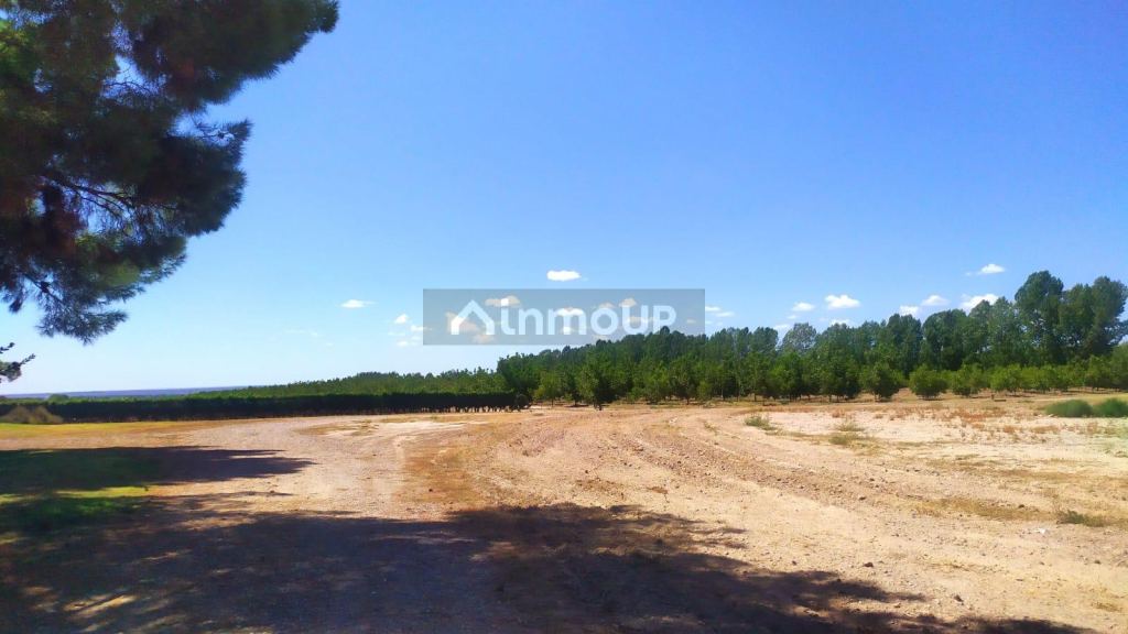 Finca en Venta en Tunuyan, Mendoza