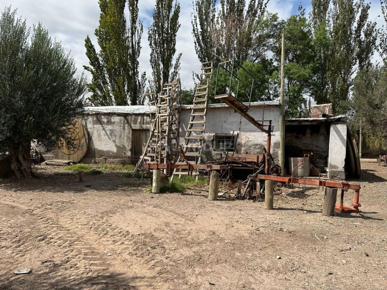 Finca en Venta en Lavalle, Mendoza