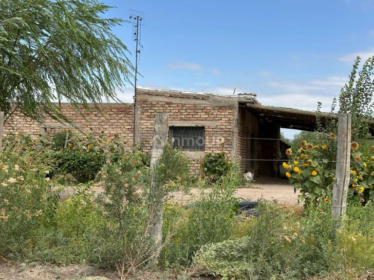 Finca en Venta en Lavalle, Mendoza