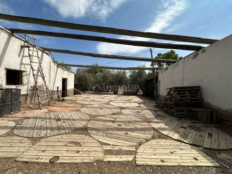 Finca en Venta en Lavalle, Mendoza