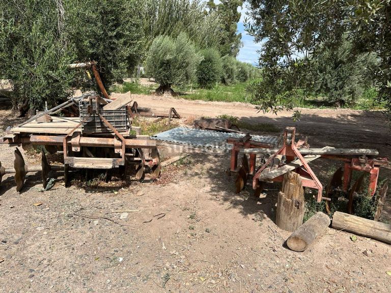 Finca en Venta en Lavalle, Mendoza