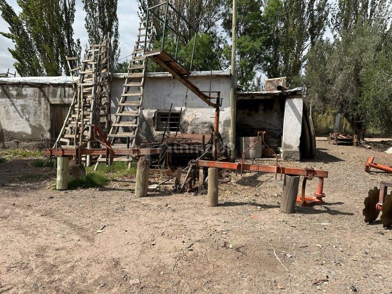 Finca en Venta en Lavalle, Mendoza