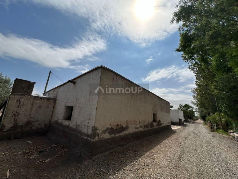 Finca en Venta en Lavalle, Mendoza
