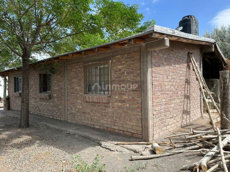Finca en Venta en Lavalle, Mendoza