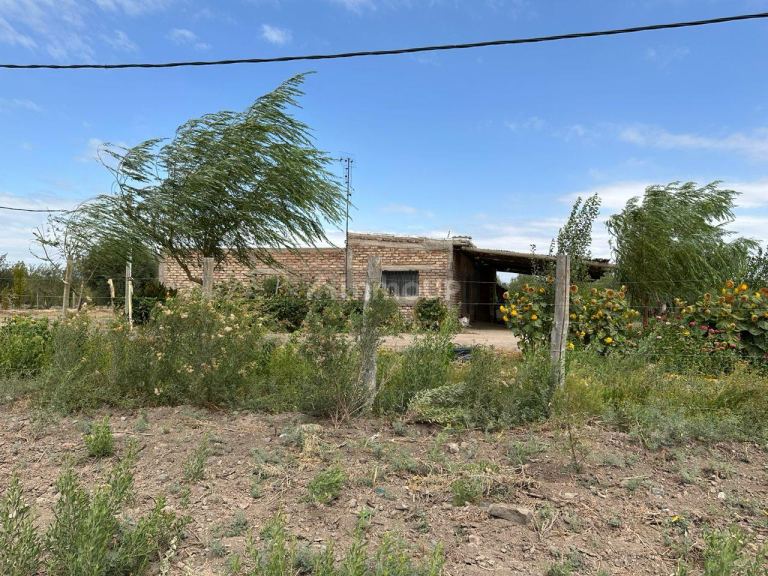 Finca en Venta en Lavalle, Mendoza
