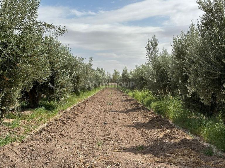 Finca en Venta en Lavalle, Mendoza