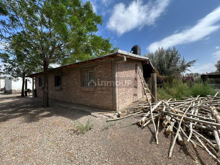 Finca en Venta en Lavalle, Mendoza