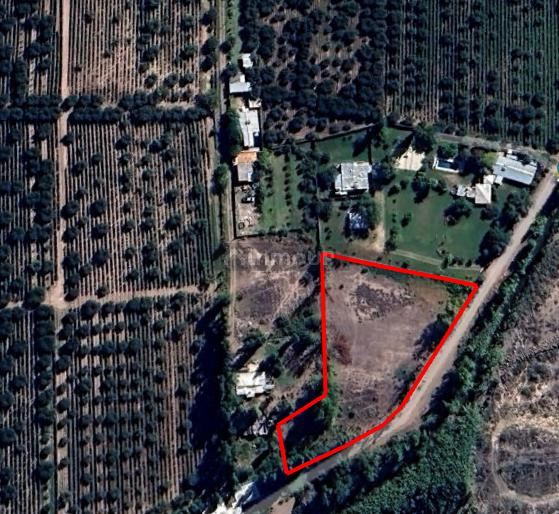 Terreno en Venta en Maipu, Mendoza