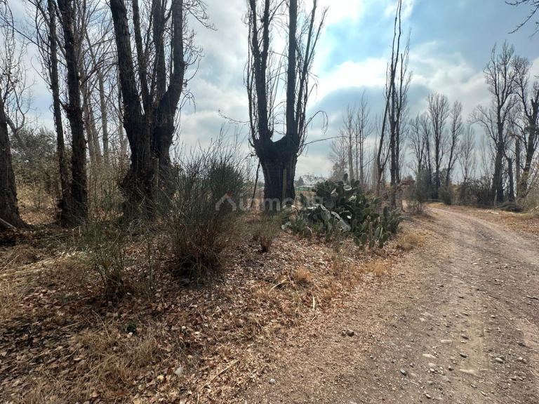 Terreno en Venta en Maipu, Mendoza