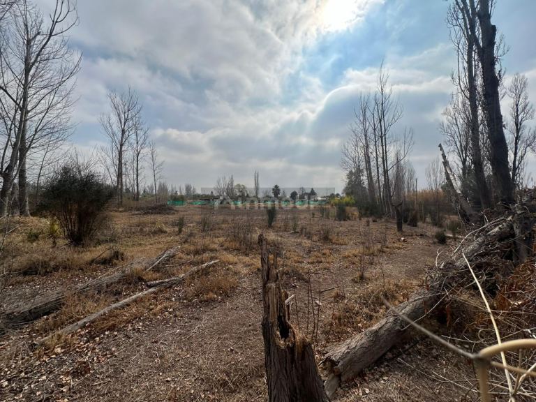 Terreno en Venta en Maipu, Mendoza