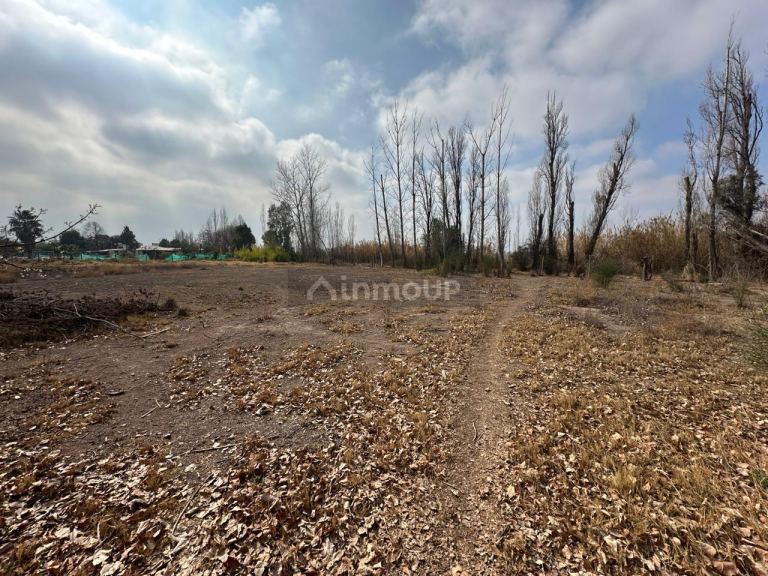 Terreno en Venta en Maipu, Mendoza