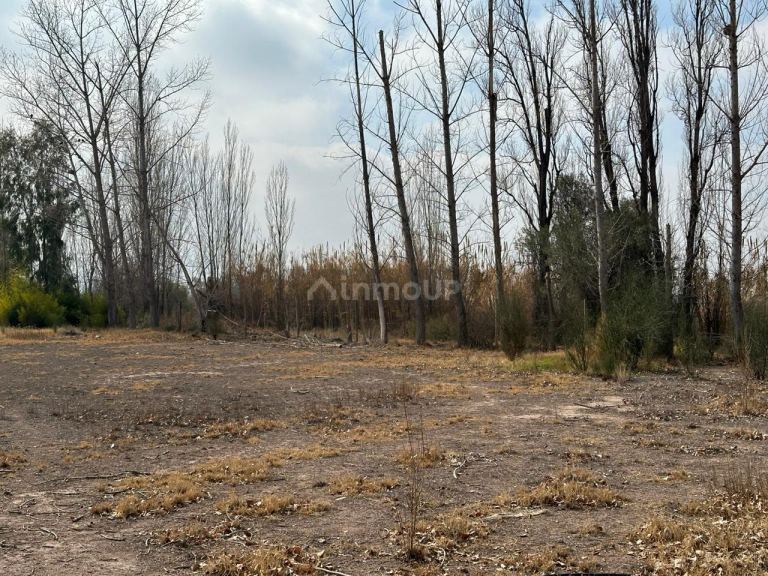 Terreno en Venta en Maipu, Mendoza