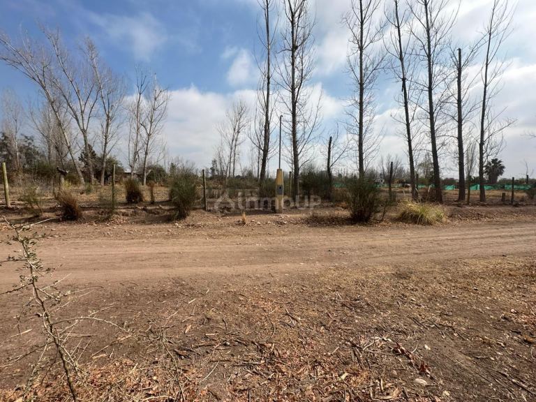 Terreno en Venta en Maipu, Mendoza