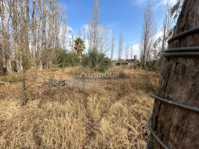 Terreno en Venta en Maipu, Mendoza