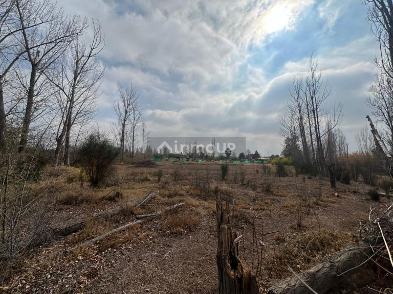 Terreno en Venta en Maipu, Mendoza