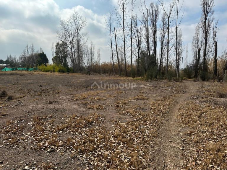 Terreno en Venta en Maipu, Mendoza