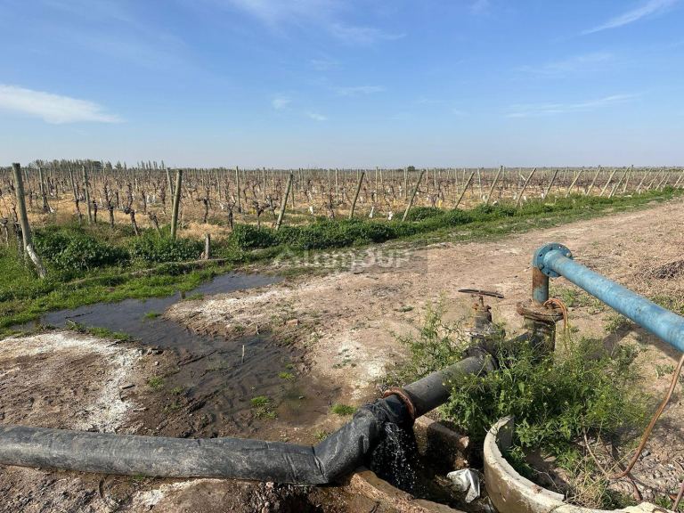 Finca en Venta en Las Heras, Mendoza