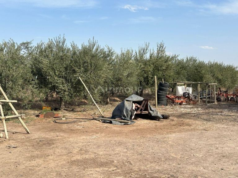 Finca en Venta en Las Heras, Mendoza