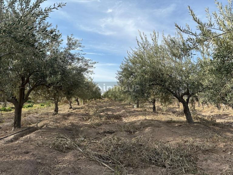 Finca en Venta en Las Heras, Mendoza