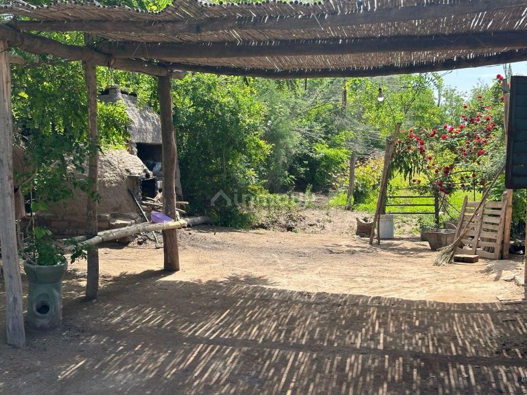 Finca en Venta en Lavalle, Mendoza