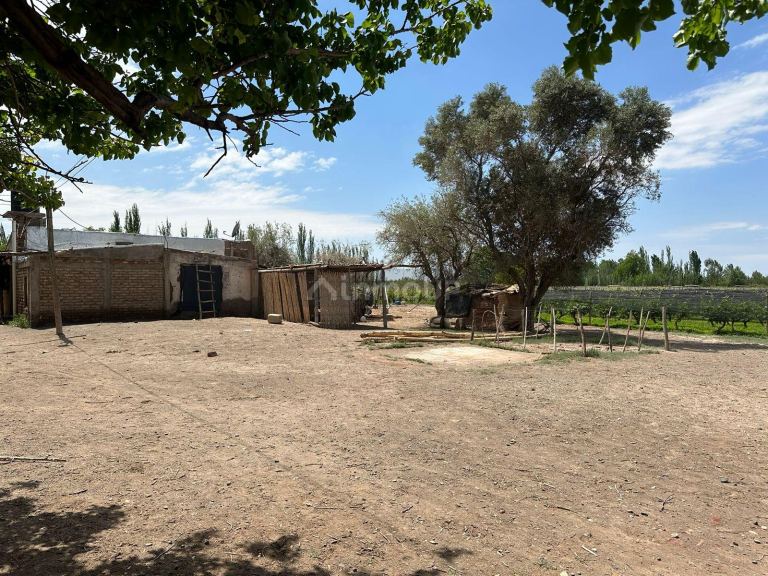 Finca en Venta en Lavalle, Mendoza