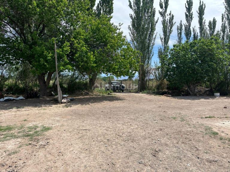 Finca en Venta en Lavalle, Mendoza