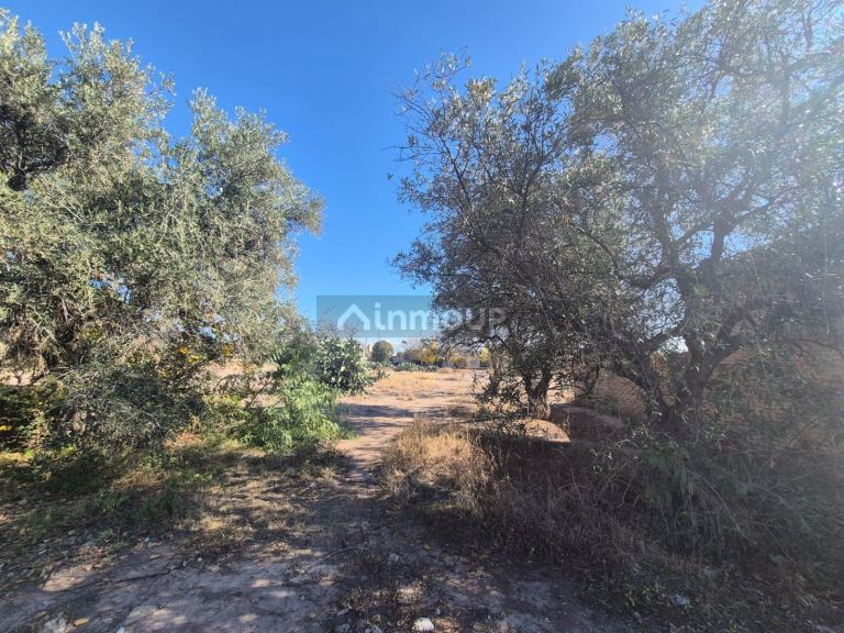 Lote en Venta en Maipu, Mendoza