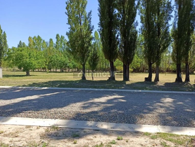 Lote en Venta en Tupungato, Mendoza