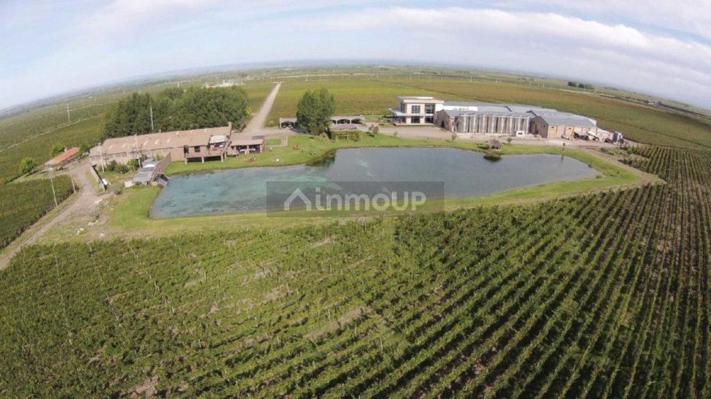 Lote en Venta en Tupungato, Mendoza
