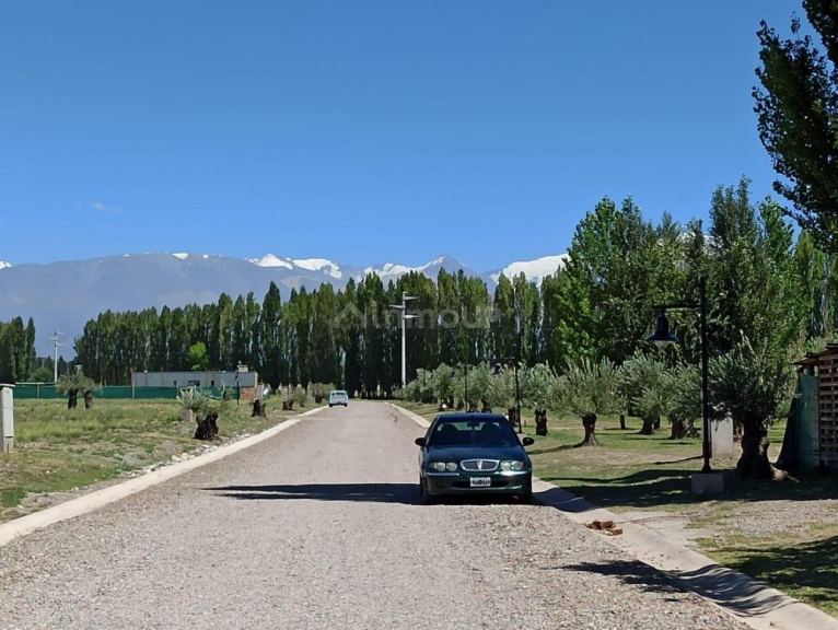 Lote en Venta en Tupungato, Mendoza
