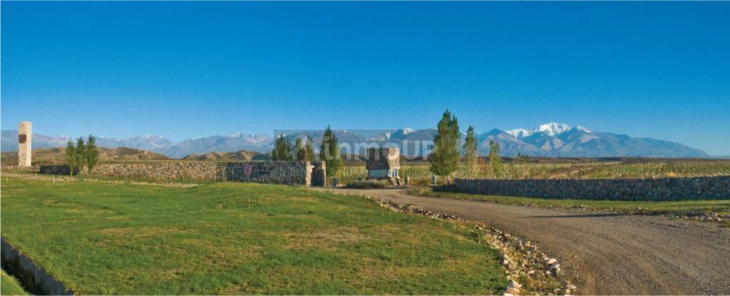 Lote en Venta en Tupungato, Mendoza