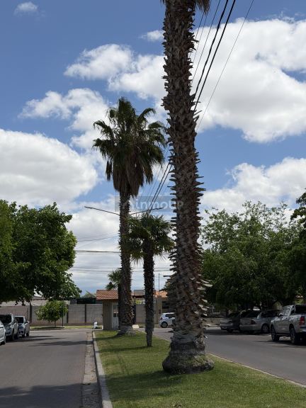 Lote en Venta en Maipu, Mendoza