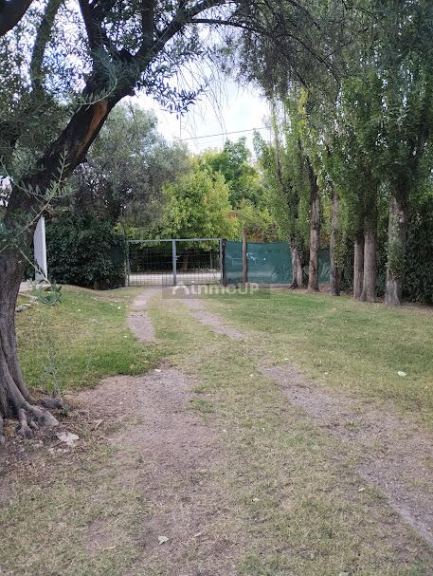 Lote en Venta en Lujan de Cuyo, Mendoza